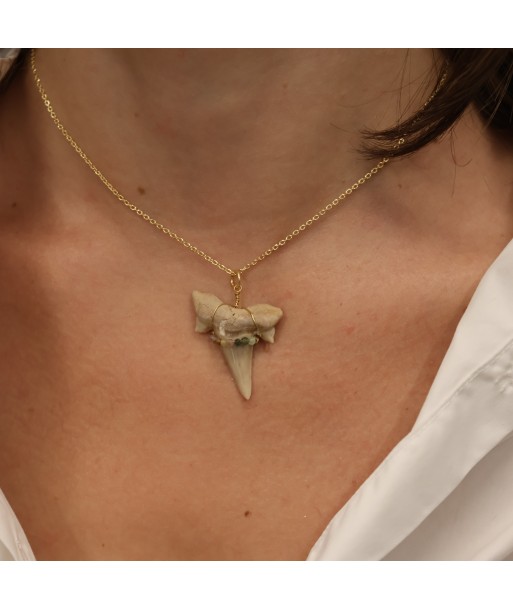 Collier doré dent de requin fossilisée Fin de série